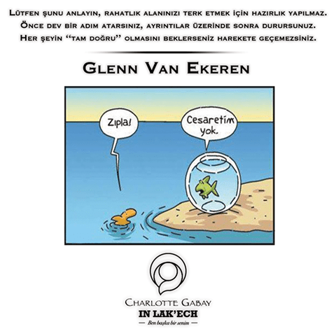 14650279_1432879076730057_5099975166768558616_n1