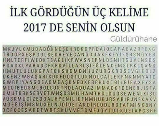 14907616_345743152445454_499576067012064482_n1