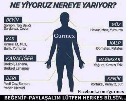 14908175_1191065350960464_2821523560629596909_n1