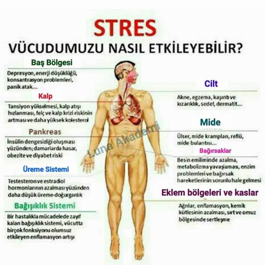 14915675_569857879877172_4681870902144462437_n1