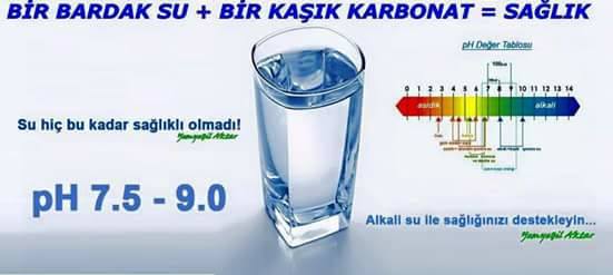 14938323_1850424475202669_4133293580298271525_n1