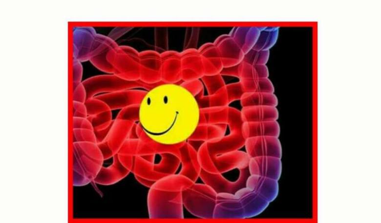 15032105_326692027696717_8039500854900717640_n2