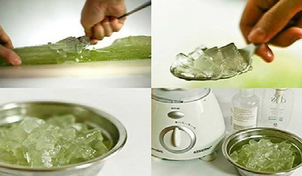 15135836_1319130378151752_5461298885476758458_n1