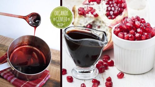 dogal-gercek-nar-eksisi-728x4101