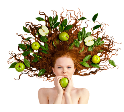 0_7ab41_586daa0a_xl1