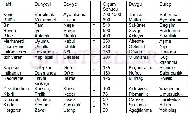 12742453_10205842754492323_3506177599363077072_n1