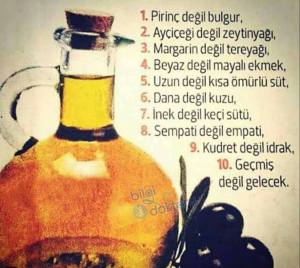 15134556_1781785105423689_5625595860446270085_n1