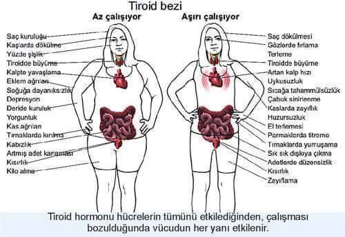 15135734_723661604454725_6049029704239297102_n1