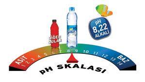 15317830_593093550887748_7878464744108941661_n1