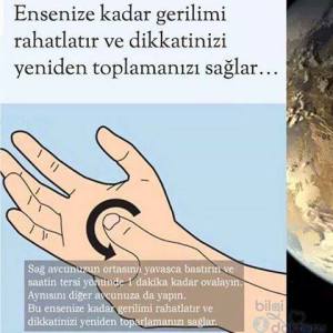 15349674_1866062226972227_2124446623610985348_n1