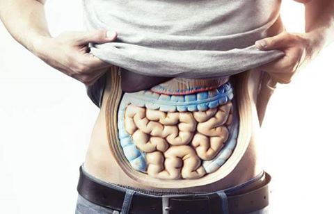 15420921_355676644799414_2263254822394144691_n1