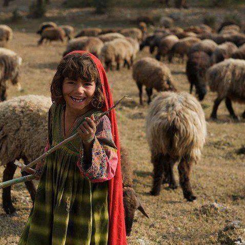 15578517_1349529885091192_3840392356615185897_n1