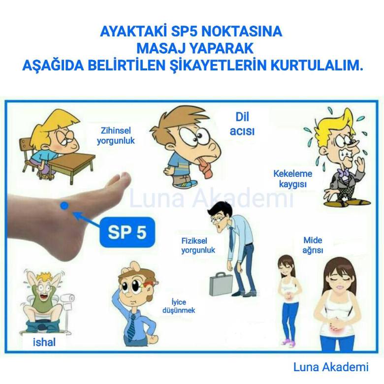 15590597_590624611133832_5024854861366392458_n1