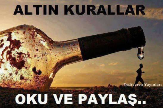 15621765_10207428036208954_2473164634079884231_n1