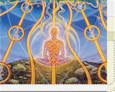 381774_245610072171835_1921691049_n1