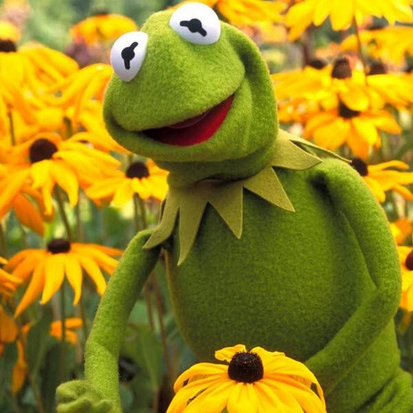 55eb5f3ff018fbb8f8bcd73e1