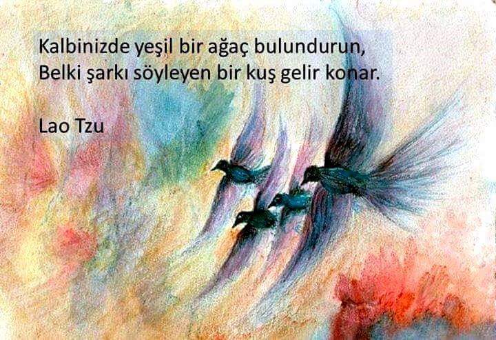 943892_1007026949355523_4546323961274387186_n11