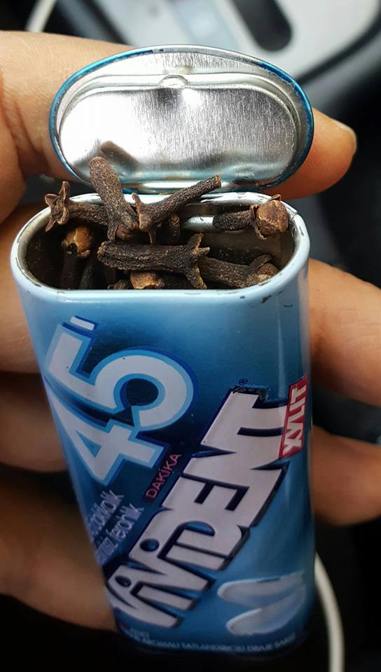 15380867_1190345751020398_4253461792368725767_n1