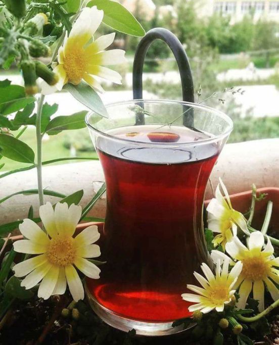 15871564_1701996480111566_5454483190682927773_n1