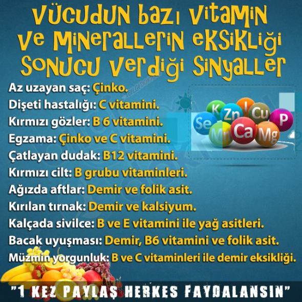 15871934_1173412522777685_1121049796532648861_n1