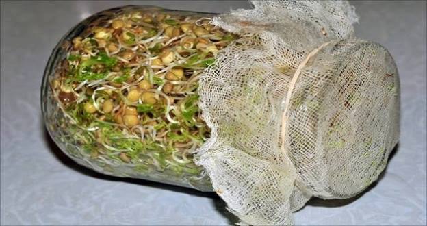 15873410_1055655511210860_6562827716709965347_n1