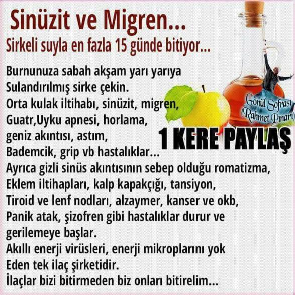 15873431_1887643114797672_3518579952408346080_n1