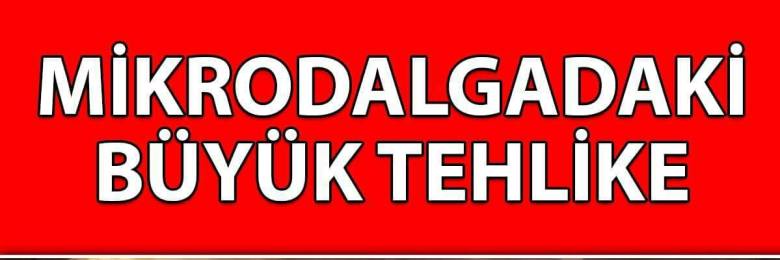 15895843_367524733614605_5938473074336121215_o1