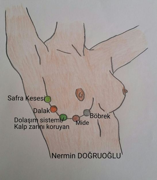 15937298_1435259986508624_7700149862561557227_o1