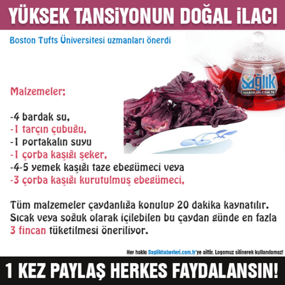 15977015_1876023119284889_1024066681974485543_n1