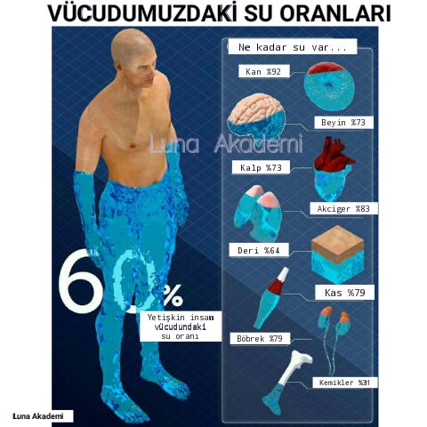 16114344_605268033002823_7814827049666954892_n1