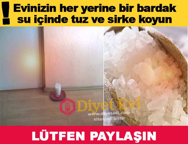 16114431_754750088012543_7310719328293893834_n1