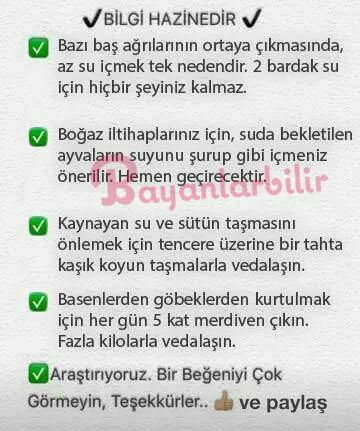 16174588_10211426171121000_4806516028274065249_n1