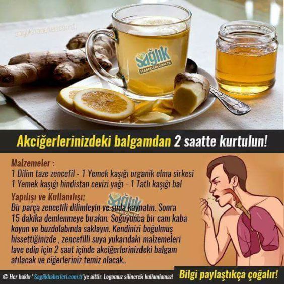 16298989_377347792625984_3422489407546007452_n1