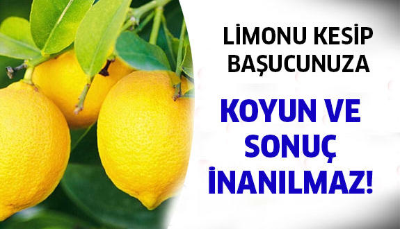 birkac_dilim_limonu_basucunuza_koyun_ve_h1498_1eb411-575x3301
