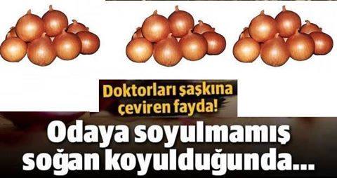 12643006_1673087496287304_6500214014803274822_n1