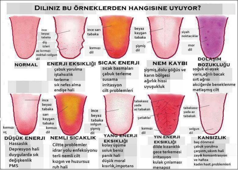 12717160_1036588746379251_7076035641643586167_n2