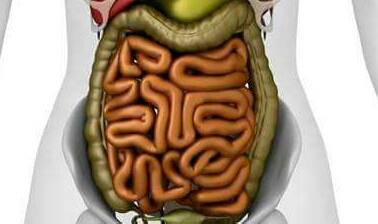 16114866_377619615938450_31972195220955080_n1