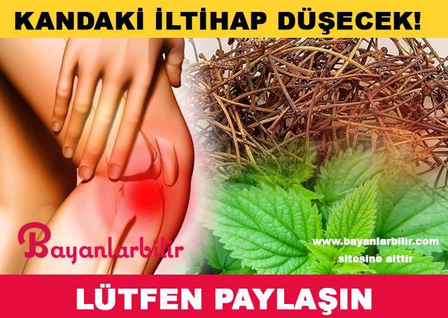 16388276_762304097257142_8398460961448912409_n1