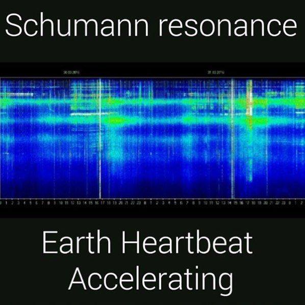 16426155_1198629060253260_2902415942118750626_n1