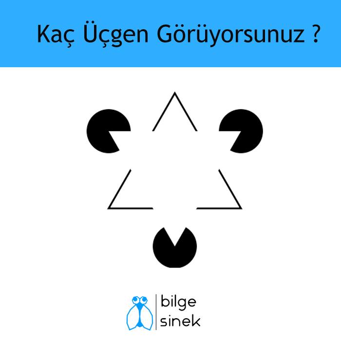 16473171_1291772204195131_6107539691542329888_n1