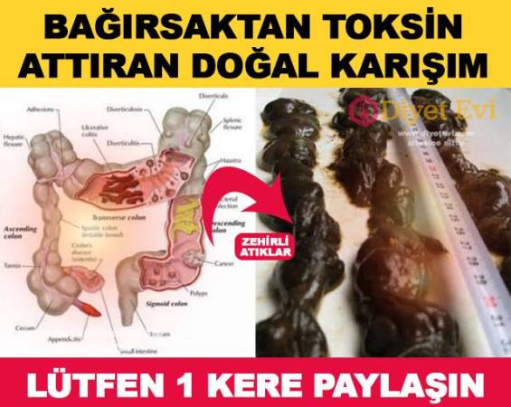 16473512_765725936914958_8135092371368350709_n1