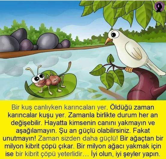 16508189_10203145004301390_7799296022556386987_n1