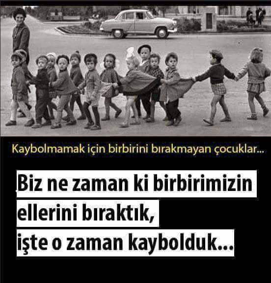 16684248_406255346392107_3570198787431949199_n1