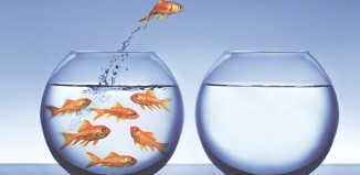 5-sayi_kkaratas-326x1591