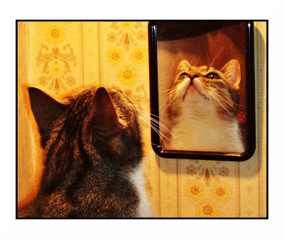 mirror_ii_by_witchy_poo1