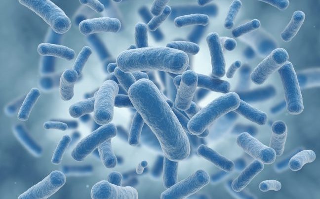 probiyotik-tuketimi-psikolojiyi-nasil-etkiliyor-e14852729811501