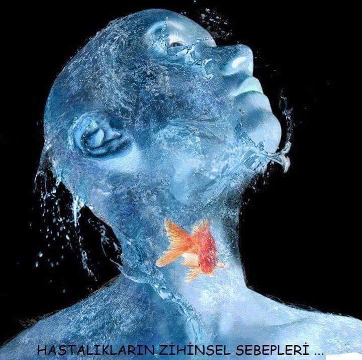 17103451_1843340322593845_4623149547662142925_n[1]