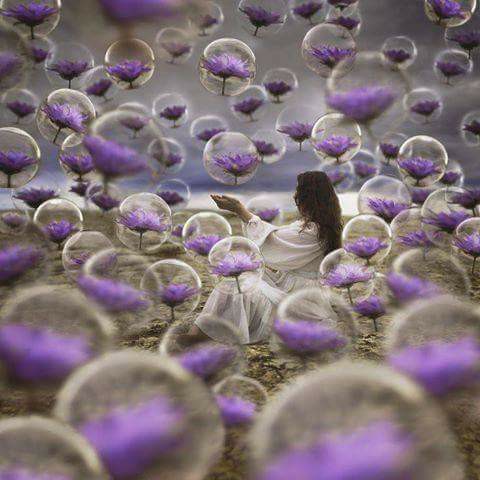 17190658_10210045036576467_3122994971965998591_n[1]