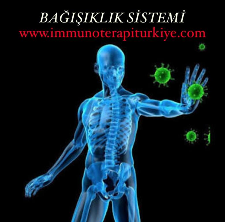 17309290_2238495093042569_5681616386020867477_n[1]