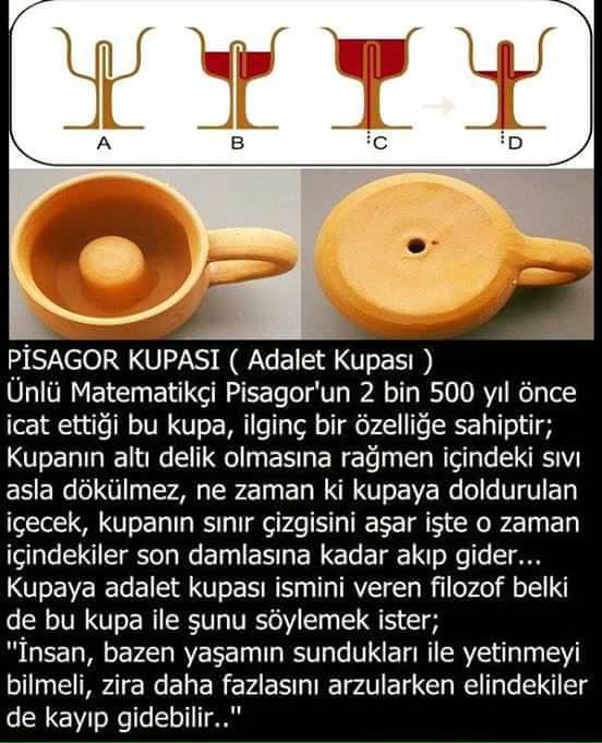 17499389_1836449443271735_1432688349264113334_n[1]